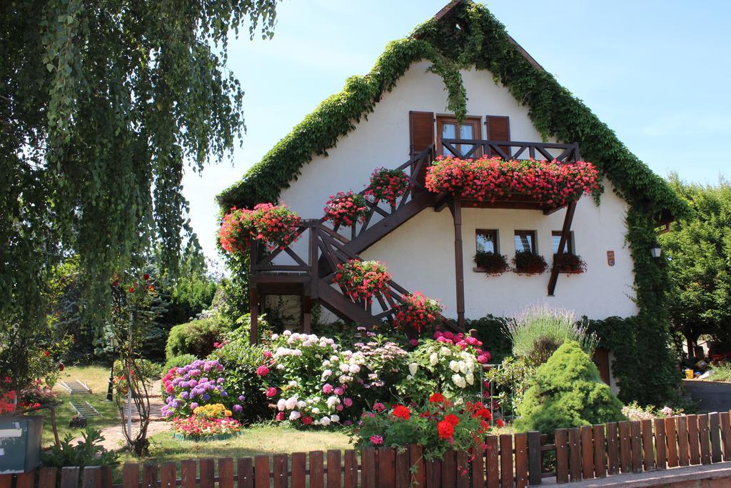 Apartment Route Du Vin Centre Alsace Orschwiller Quarto foto